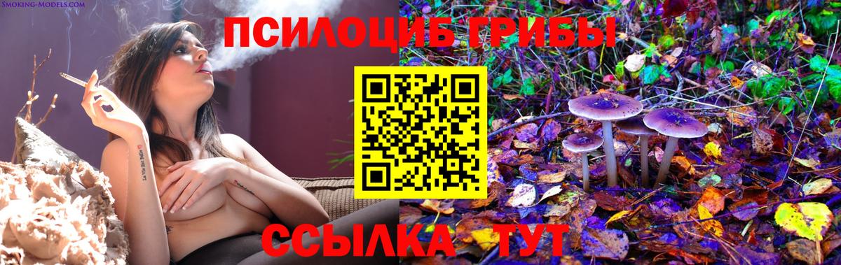 Галлюциногенные грибы прущие грибы Артём
