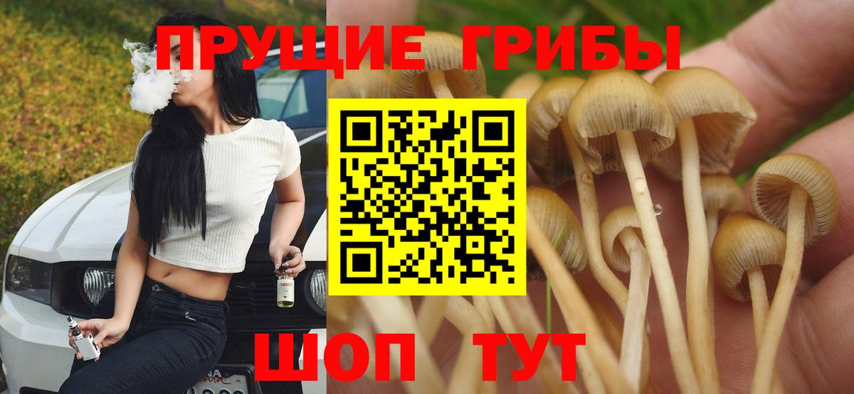 дарнет шоп  Псилоцибиновые грибы Magic Shrooms  Вход с VPN  Артём 